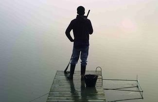 The Summer of Flying Fish