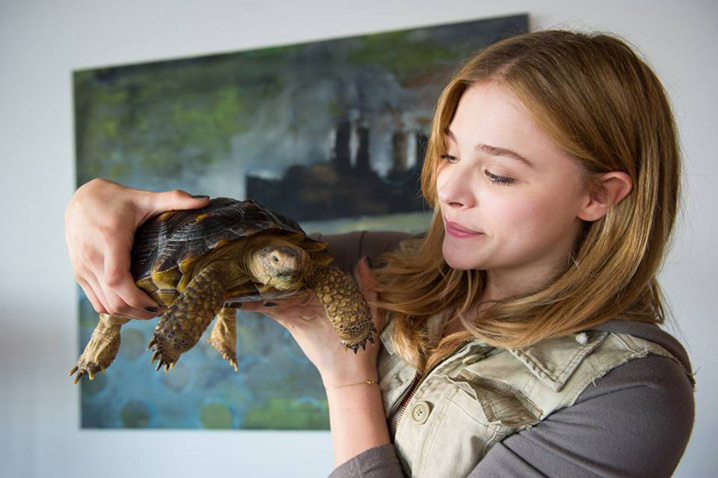 Laggies