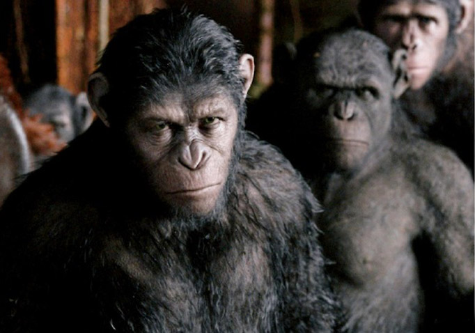 Dawn Of The Planet Of The Apes