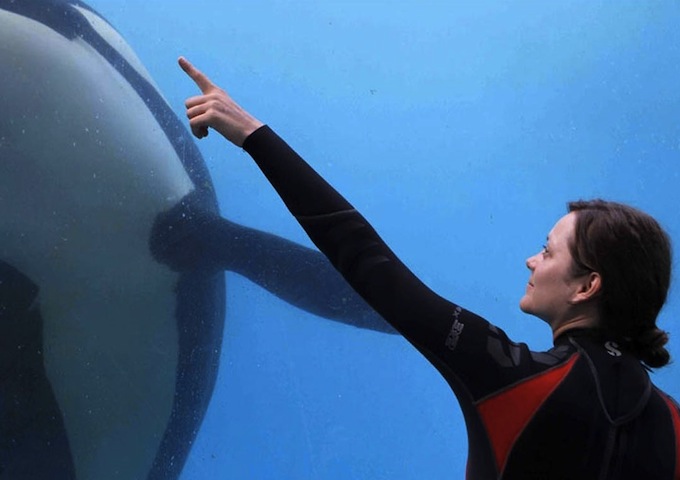 Rust & Bone