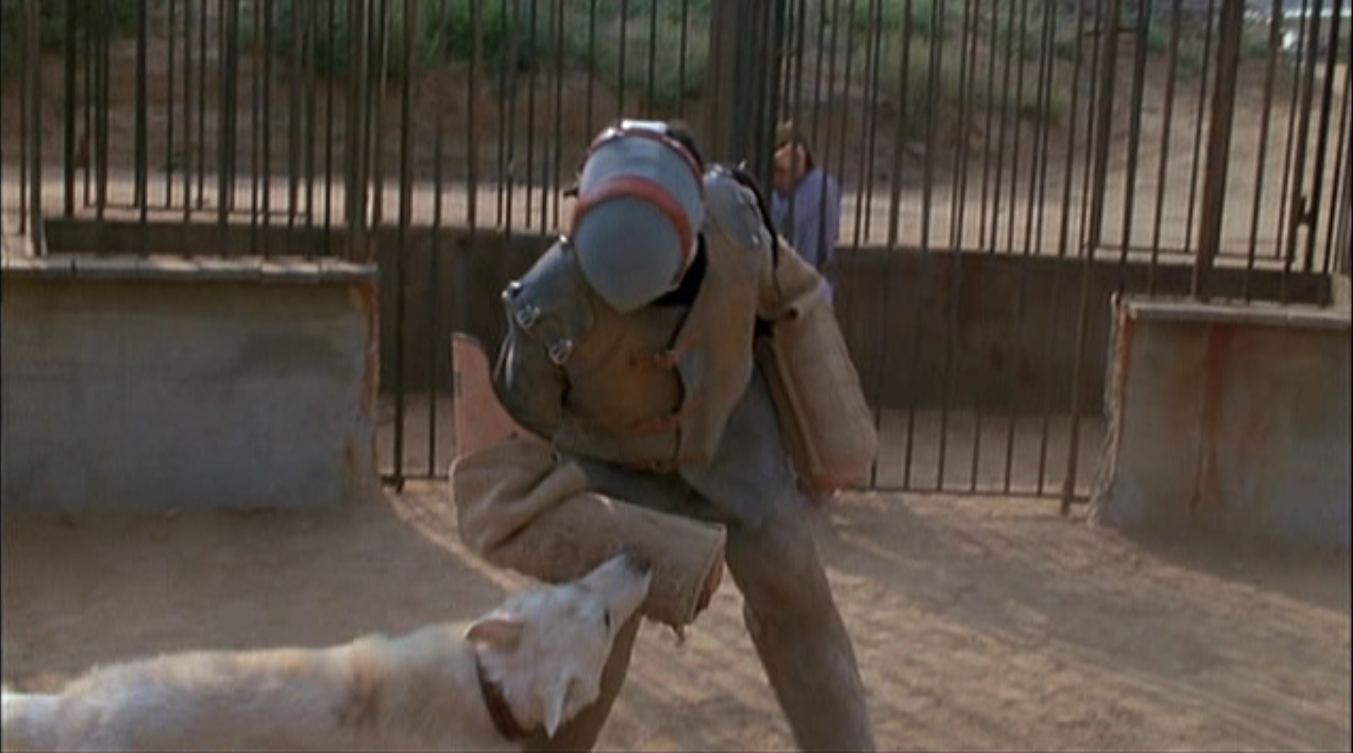 White dog