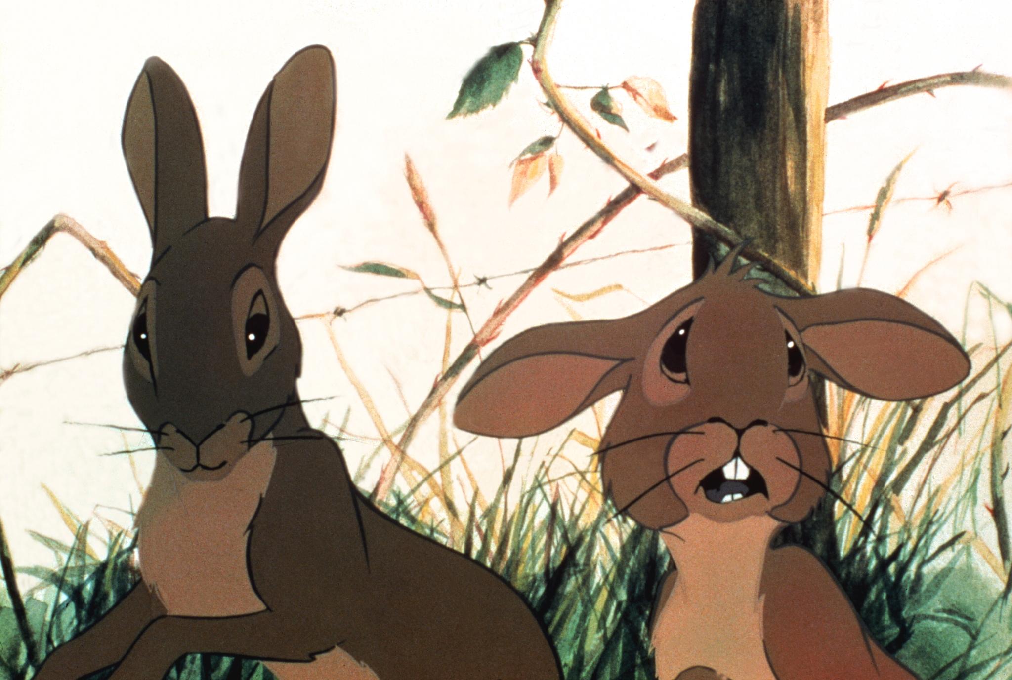 Resultado de imagem para Watership Down