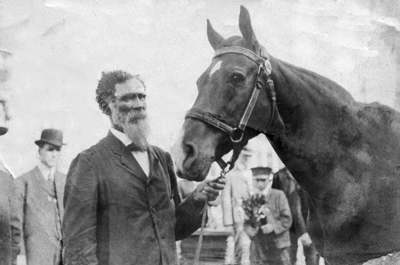 Morgan Freeman Will Saddle Up For Historical Drama 'Beautiful Jim Key' About A Doctor & The Smartest Horse In The World