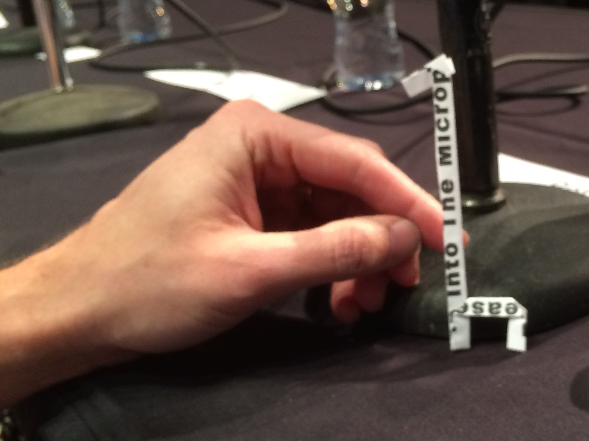 Pete Docter's panel giraffe