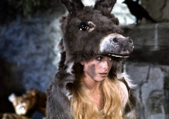 Donkey Skin