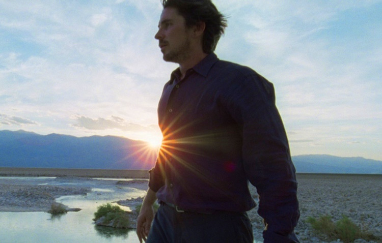 Knight Of Cups