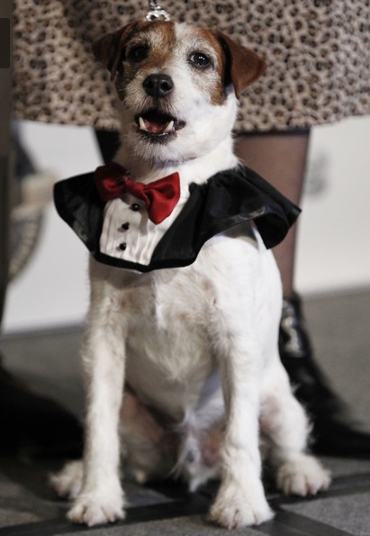 Uggie