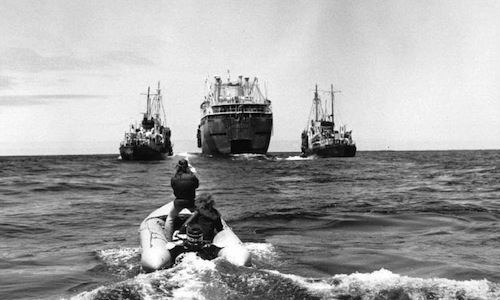 Greenpeace_protests_Russian_whaling