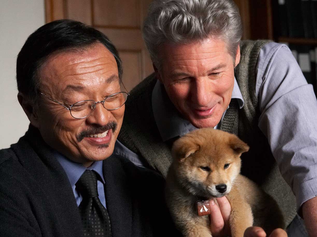 Hachi