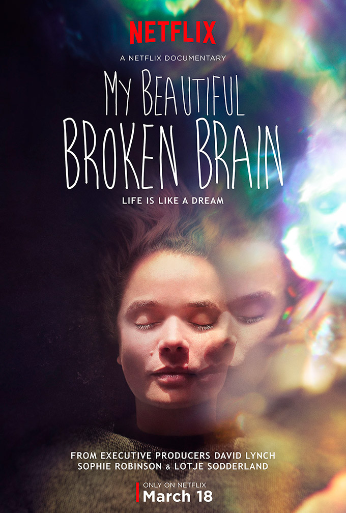 My Beautiful Broken Dream Poster