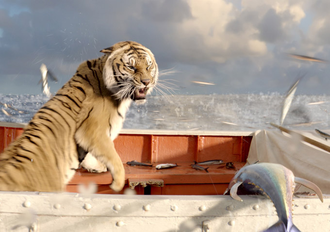 Life Of Pi