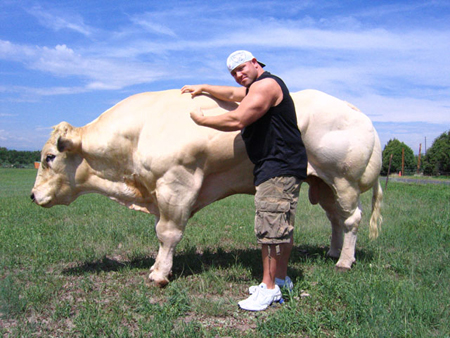 Bigger Faster Stronger