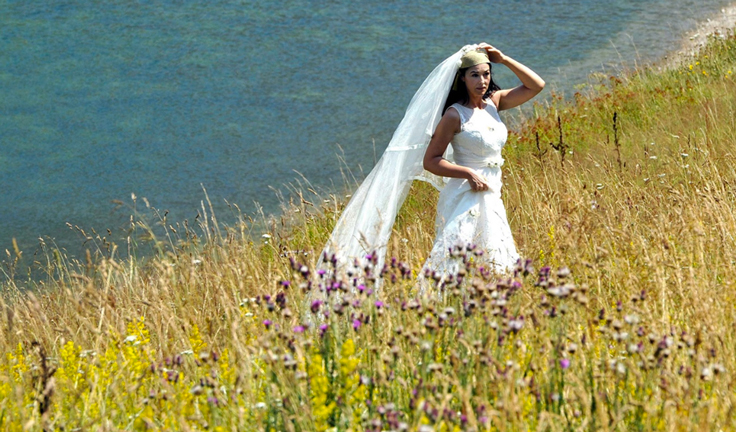 On the Milky Road Bellucci