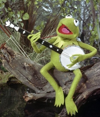 Kermit with Banjo