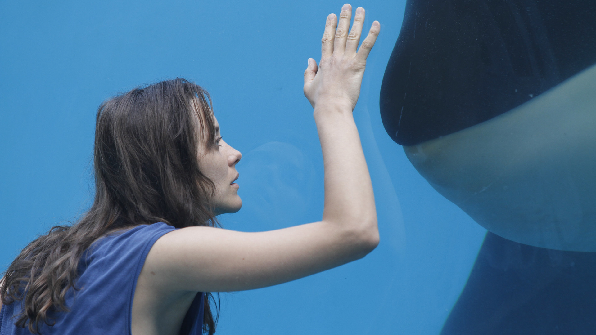 Rust And Bone Marion Cotillard Whale