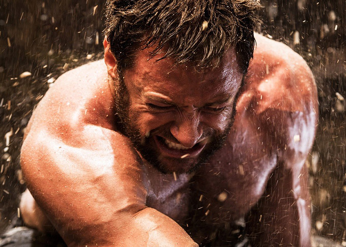 The Wolverine