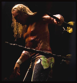 Wrestler