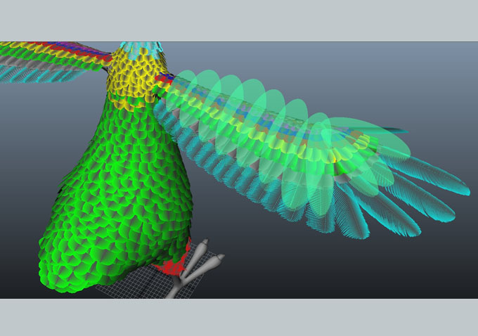 Reggie feathers
