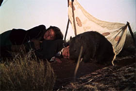 Walkabout 4