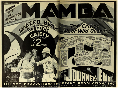 Mamba Ad-488
