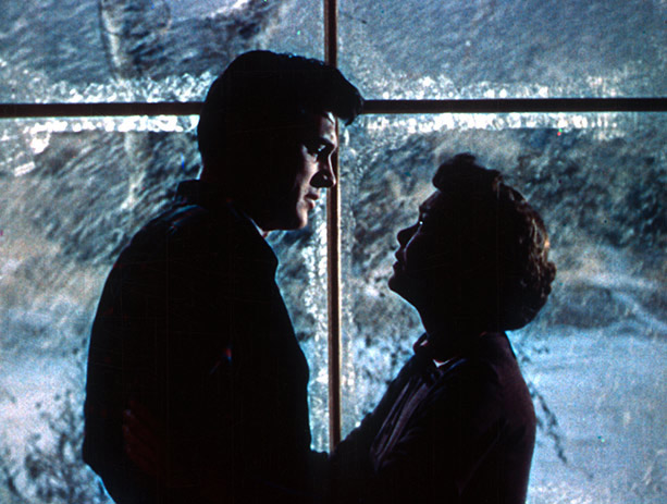 All The Heaven Allows, Douglas Sirk