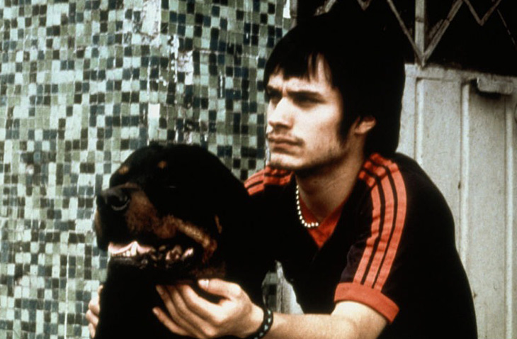 Amores Perros