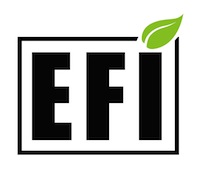 FFI