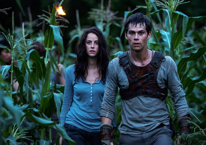 The Maze Runner