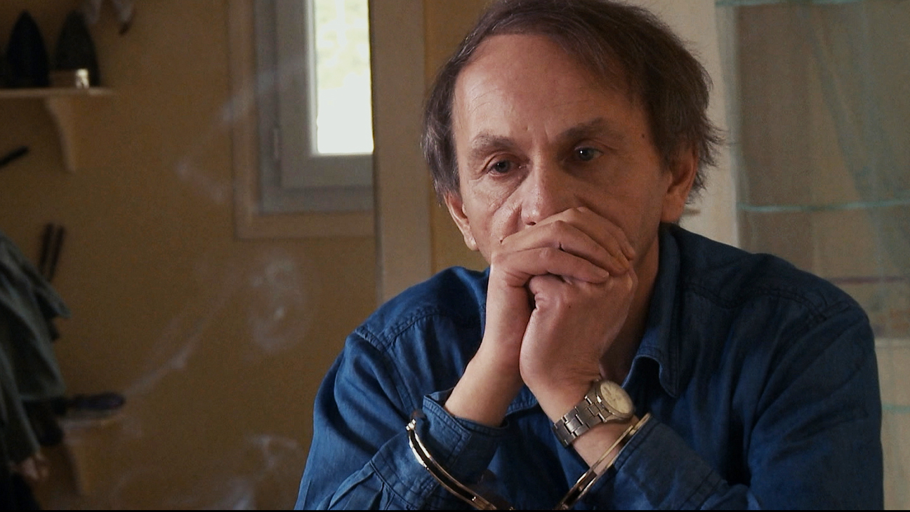 The Kidnapping of Michel Houellebecq