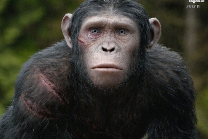 Dawn of the Planet of the Apes,
