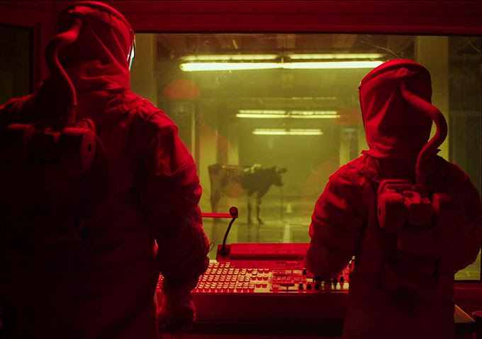 The Signal