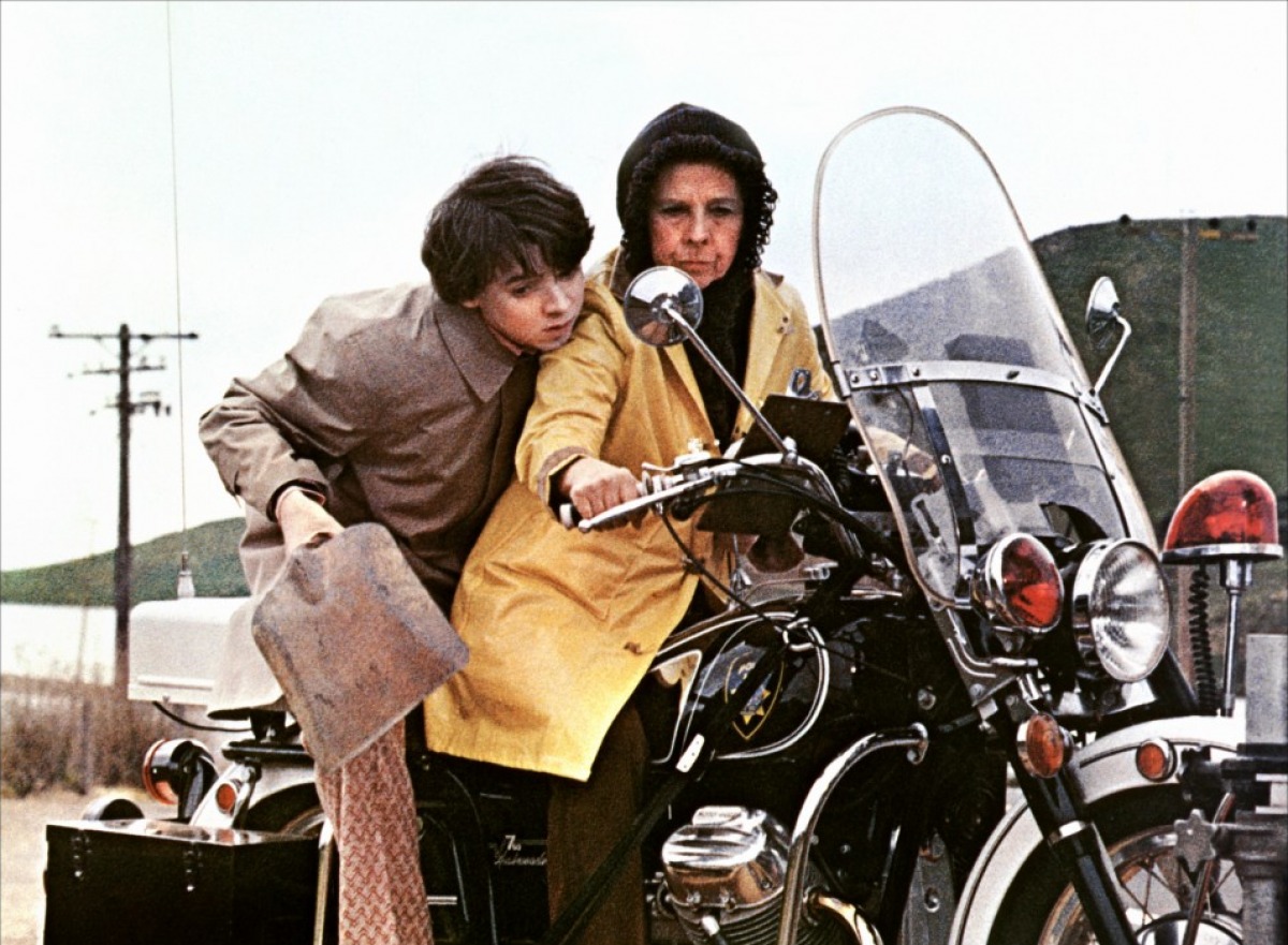 Harold And Maude