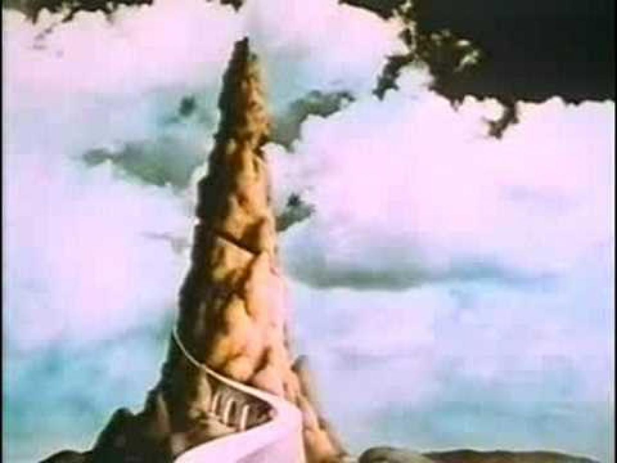 The Miracle Of Flight