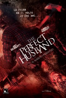 The Perfect Husband
