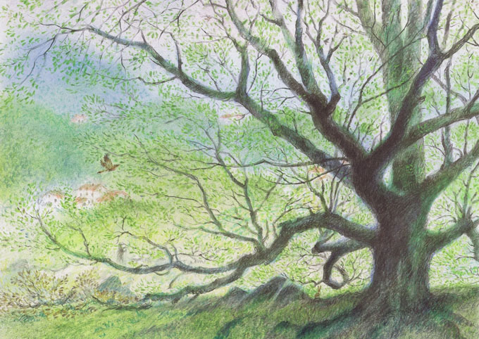 Back Tree