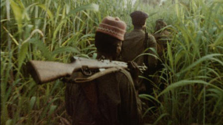 Concerning Violence