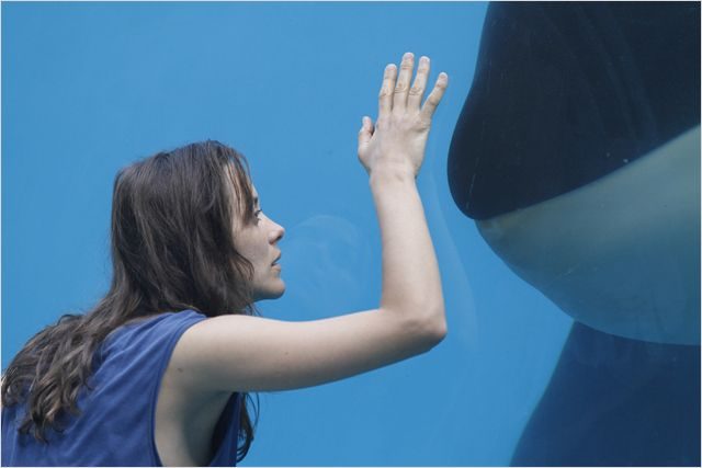 Rust and Bone 1