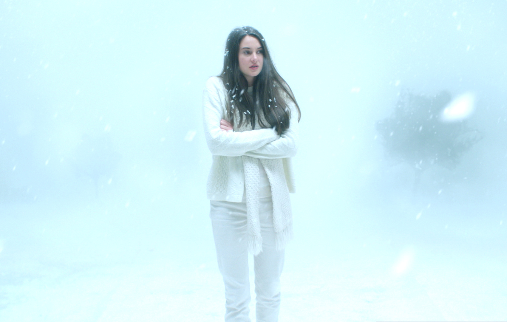 White Bird In a Blizzard