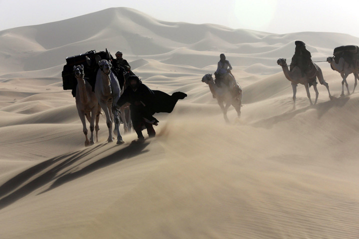 movie reviews queen of the desert