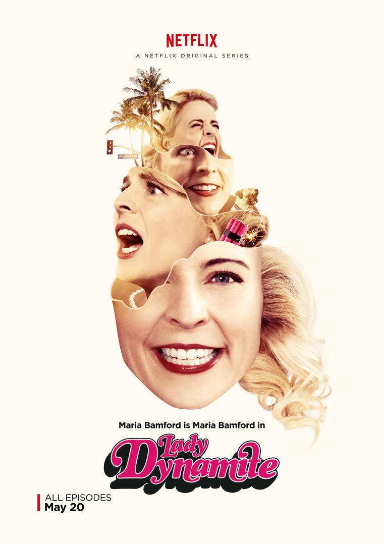 Image result for lady dynamite poster