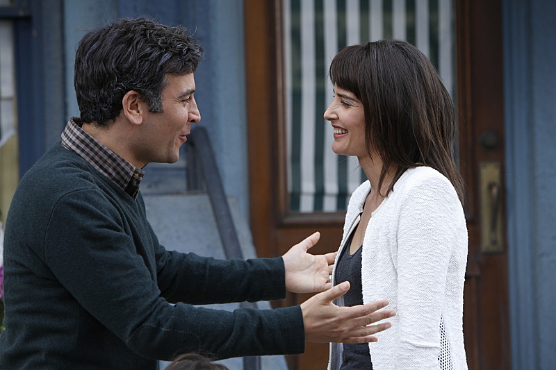 Why this Fan's Ending to 'How I Met Your Mother' Is the Right Way to End  the Series – IndieWire