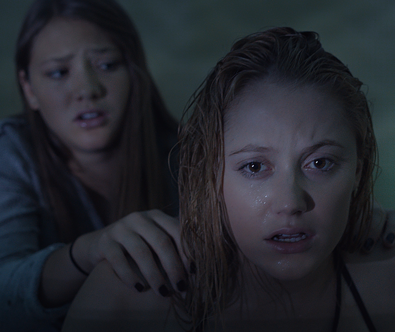 movie review it follows